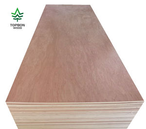 Contreplaqué Bintangor 3/<span class=keywords><strong>4</strong></span> <span class=keywords><strong>5</strong></span>/8, contreplaqué pour meubles, contreplaqué pour panneaux - Product Image 1