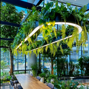 Lustre suspendu au plafond ovale à LED réglable en <span class=keywords><strong>hauteur</strong></span> pour hôpital, décoration <span class=keywords><strong>de</strong></span> plantes artificielles, éclairage moderne unique et créatif - Product Image 1