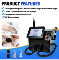 Appareil professionnel 2 en 1 pour l'élimination des points noirs, des tatouages et des poils, portable