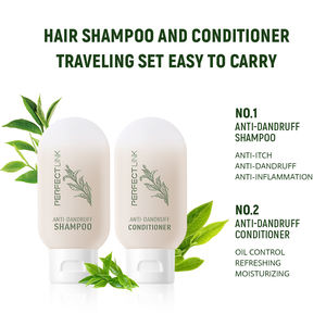 OEM Travel Hair Care Set (NUEVO) Mini Size Anti Dandruff Smoothing Anti-picazón Champú y acondicionador Set - Product Image 6