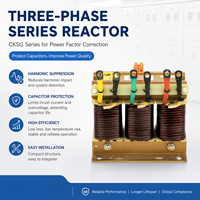 Reactor de Línea Trifásico de Bajo Voltaje, Reactor de Serie Desintonizado para Corrección del Factor de Potencia, Filtro de Armónicos de Condensadores