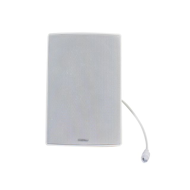 V Network Wall Speaker Indoor Outdoor IP55 Rated with RJ45 and Remote Firmware Upgrade Wall Speaker