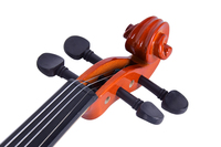 Professional Solid Wooden 4/4 Violin with Free Violin Accessories