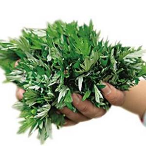 Bonne Huile De Blumea/D'armoise Huile Essentielle Pour Massage - Product Image 1