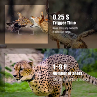 Caméra de chasse extérieure double objectif OEM/ODM haute résolution CMOS étanche sans flash visible 4G LTE 1080p longue autonomie