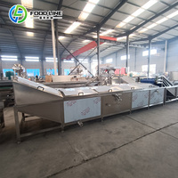 Nieuwe automatische productielijn voor het maken van diepvriesfrieten & aardappelchips, fruit & groente friteuse, 200kg/500kg/1000kg