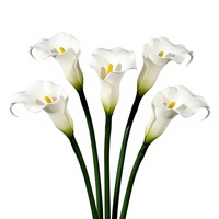 Susunan Bunga Pernikahan Buatan Tangan dari Calla Lily dan Alocasia Buatan, Bahan PVC Model FS056 Grosir Lintas Negara