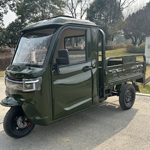 Usine 3 roues E-Loader fermé pousse-pousse <span class=keywords><strong>électrique</strong></span> <span class=keywords><strong>adulte</strong></span> passager <span class=keywords><strong>Tricycle</strong></span> personnalisé 3000W - Product Image 2