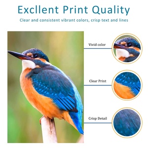 Cartouche de toner compatible pour imprimante Konica Minolta TN228, pour toner Konica Minolta Bizhub C226i, 266i, 286i - Product Image 4