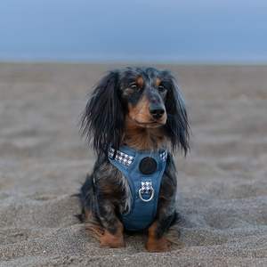 个性化格子呢宠物背带套装反光战术牛津尼龙扣钩环批发配件 - Product Image 5