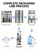 Machine de remplissage d'eau en seau de 20 L, remplisseuse de bouteilles de 5 gallons, équipement commercial de production d'eau potable, station de remplissage d'eau