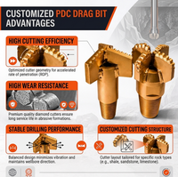 Буровое долото Drillsoltek 2026 с фиксированными PDC-резцами для направленного бурения горных пород