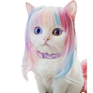 Universal Color Long Straight Polyester Pet Wig for Cats Dogs Babies Little Meow Pet Costume Wig for Summer - Product Image 3