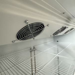 Refrigeradores Comerciales de Una Sola Temperatura para Bebidas, de Bajo Consumo, con Enfriamiento por Aire y Pantalla Digital - Product Image 3