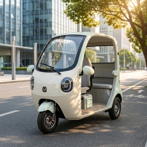 Nouveau Tricycle Électrique Mini Open 2026 60V >1000W 50-70km/h avec Batterie Plomb-acide, Conception Ouverte Sans Portes, Sièges <span class=keywords><strong>pour</strong></span> 3 <span class=keywords><strong>Personnes</strong></span>, Usage Domestique - Product Image 1