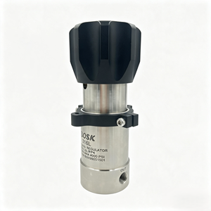 ราคาโรงงาน OSK ตัวปรับแรงดันแก๊สแบบแมนนวล สแตนเลส 316L 17-4PH แบบติดตั้งด้านหลัง OEM NPT 1/4 ควบคุมการไหลของของเหลว BGV5SL - Product Image 4