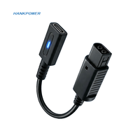 Câble de type C pour adaptateur de charge rapide NGC USB C PD 45W pour Nintendo GameCube 12cm