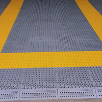 Kostenlose Muster Rutschfeste Innenraum-Verbundplatten Garage-Bodenfliesen Autowaschraum-Entwässerungsmatten Parkplatz-Gitter PP