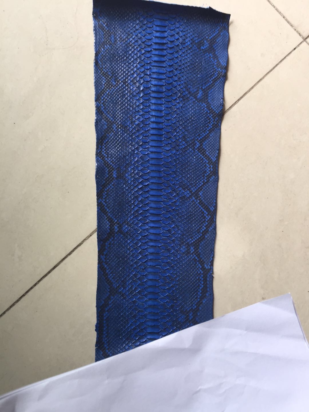 Blu con motivo nero