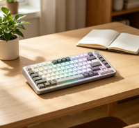 Clavier de jeu mécanique à 60 %, touches PBT remplaçables à chaud, rétroéclairage LED arc-en-ciel pour PC Gamer, ordinateur portable