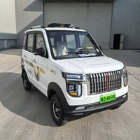 Mini vehículo eléctrico todoterreno EV con 100-200km de rango de batería Popular New Energy 4 ruedas de baja velocidad tiempo de carga corto