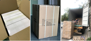 Ozonizzatore Elettrico in Plastica per Lavatrici (Uso Domestico) - Product Image 4