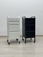 Chariot de rangement professionnel en métal pour salon de beauté, 4 tiroirs, rails silencieux, chariot utilitaire pour clinique de soins de la peau, hôpital