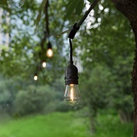 Bombilla LED de Filamento Edison Blanco Cálido S14 2W para Luces de Cadena de Exterior con Plástico para Jardín E27 CRI 90 Garantía de 2 Años