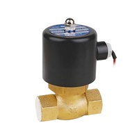 Katup Solenoid Suhu Tinggi US-20 2L-20 Normal Tertutup Katup Solenoid Tekanan Tinggi 220V 12V 24V Katup Solenoid Uap