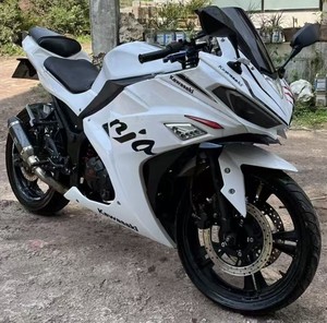 Motocicleta de Doble Cilindro 400cc, Estilo Ninja <span class=keywords><strong>Horizon</strong></span>, de Segunda Mano, para Adultos, Deportiva, con Posibilidad de Matricular - Product Image 6