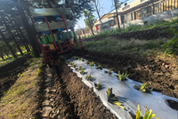 Transplanteur de légumes monté sur tracteur, machine à repiquer les oignons, équipement de repiquage de semis de légumes