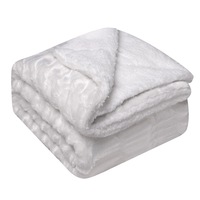 Couverture en peluche d'agneau double couche épaissie personnalisée couverture en peluche longue imitation fourrure teinte par cravate couverture en peluche Pv brossée pour l'hiver