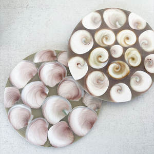 Cristales de Concha Fósil Tallados, Piedras Curativas, Placa Redonda de Concha Fósil en Venta, Novedad en Oferta - Product Image 2