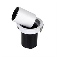 Projecteur rétractable personnalisable à 360 degrés, 20 W, projecteur tubulaire rétractable pour plafond