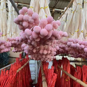 Flores Secas Preservadas Billy Button y Plantas Billy Ball Craspedia Natural para Decoración de Bodas y Hogar - Product Image 5