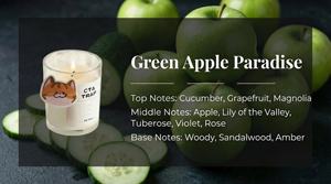 Bougie en cire de soja personnalisée, sans danger pour les animaux domestiques, non toxique, parfumée aux fruits, huile essentielle, aromathérapie d'intérieur - Product Image 2