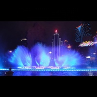 Fontaine Phénix en Acier Inoxydable à Prix d'Usine de Fournisseur Chinois, Fontaine Musicale Colorée pour Jardin, Fontaine d'Eau Extérieure à Vendre