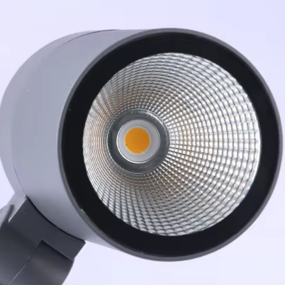 LED Outdoor Garden Light Rated DC/AC 3000K Warm White Aluminum Alloy