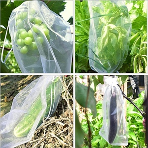 Sac de protection en maille de nylon <span class=keywords><strong>anti</strong></span>-moustiques avec cordon de serrage pour protéger les arbres fruitiers, les plantes et les légumes - Prix usine - Product Image 4