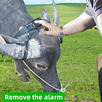 Collier solaire 3G pour bétail, puce de suivi d'animaux 4G, mini traceur GPS 4G, dispositif de suivi pour bovins, moutons, chevaux