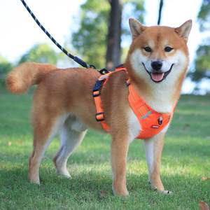 Harnais confortable respirant en Polyester pour animaux de compagnie conception réfléchissante de nuit poignées fermes en PVC laisse de chien pour chat chien chat gilets poitrine de chien - Product Image 6