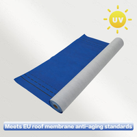 Membrane respirante en PE/PP résistante à l'eau pour toitures ventilées, inclinées et entièrement bardées, conception chinoise