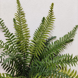 شجيرات أوراق السرخس البلاستيكية الاصطناعية لديكور المنزل للمناظر الطبيعية للحدائق - Product Image 4