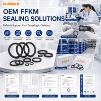Joints toriques FFKM standard et personnalisés : Scellage haute performance de qualité semi-conductrice pour outils sous vide CVD/ALD et films minces