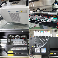 Impresora de Transferencia DTF Allprint Certificada, Nueva, de 60 cm (24 Pulgadas), I3200, 6 Cabezales, 1 Año de Garantía, para Impresión de Prendas de Alta Velocidad en Fábricas