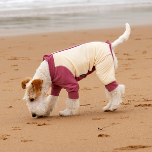 Chien solide écologique Anti-UV mince <span class=keywords><strong>tout</strong></span> <span class=keywords><strong>compris</strong></span> Cool vêtements ouvert entrejambe été Teddy vêtements pour petits chiens de taille moyenne - Product Image 4