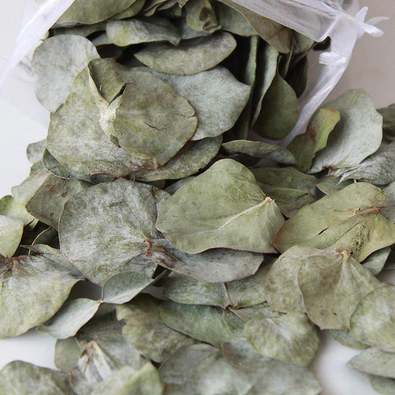 Feuilles d'eucalyptus 60g