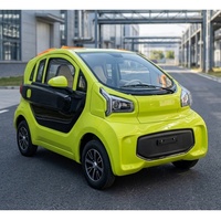 Coche Eléctrico Mini de Baja Velocidad con Conectividad por Voz, 2 Puertas, 1500W 3kW, Vehículo de Nueva Energía para Adultos, para Turismo Panorámico