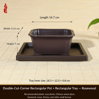 Pot de fleurs rectangulaire en résine de style chinois pour plantes succulentes, écologique, avec trou de drainage et plateau d'arrosage, pour usage en intérieur