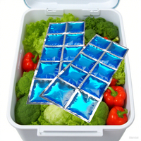 Blocs de glace réutilisables pour glacières Sac de glace glacière longue durée avec 10 cellules Sac de glace en gel pour le transport de la chaîne du froid